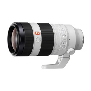 Объектив Sony FE 400-800mm f/6.3-8 G OSS (SEL400800G) - фото
